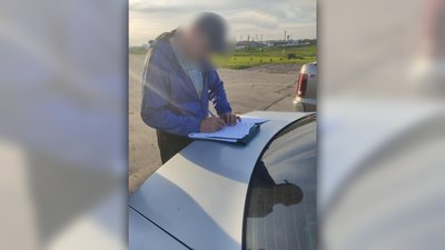 поруб дерев Суми поруб дерев Суми