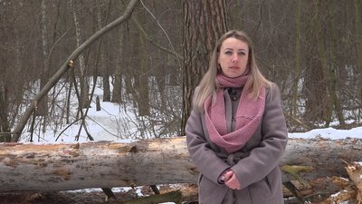 Три мільйони на три тисячі дерев: скільки коштує розчистити "Ялівщину" від повалених дерев Три мільйони на три тисячі дерев: скільки коштує розчистити "Ялівщину" від повалених дерев