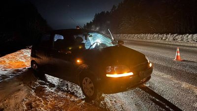 ДТП, аварія, реанімація, дорога, Станишівка, пішохід, травми