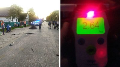 На Рівненщині п'яний водій в'їхав у корів. Дві тварини загинули – поліція На Рівненщині п'яний водій в'їхав у корів. Дві тварини загинули – поліція