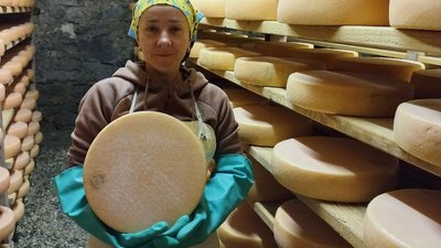 "Сироваріння — це не сухий технічний процес, це творчість": як волинська вчителька стала варити сир