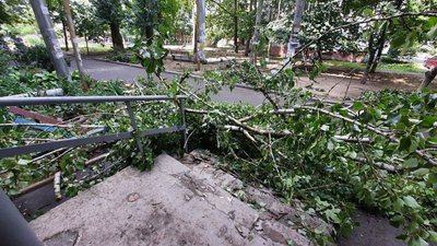 У Корабельному районі Миколаєва буревій повалив дерева. Одне з них заблокувало під’їзд У Корабельному районі Миколаєва буревій повалив дерева. Одне з них заблокувало під’їзд