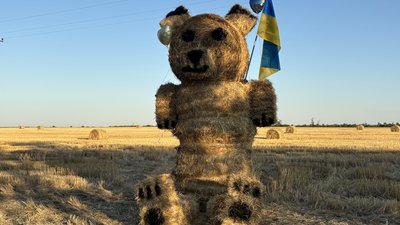Ведмідь із сіна став новою фотозоною: в Арбузинці фермер створив артоб'єкт посеред поля