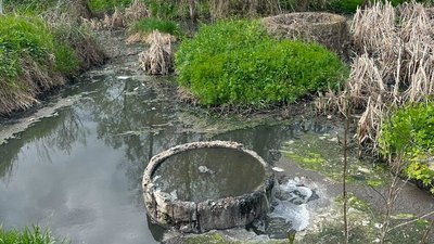 На Полтавщині виявили забруднення земель лісового фонду та річки Ворскла підприємством