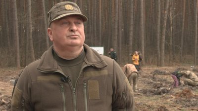 На місці вирубаного лісу. На Харківщині хочуть посадити мільйон дерев На місці вирубаного лісу. На Харківщині хочуть посадити мільйон дерев