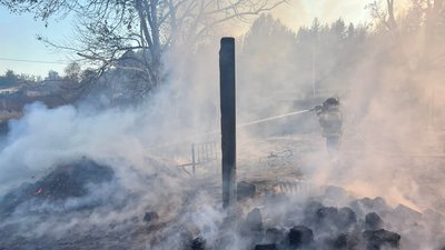 Займання сухостою на Донеччині