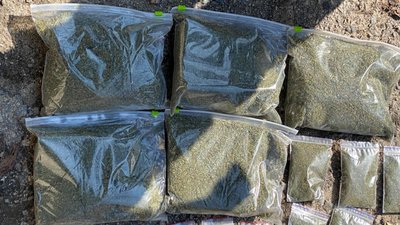 На Херсонщині затримали наркозбувача разом з "товаром" на сумму 200 тис. гривень