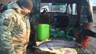 Херсонські прикордонники затримали браконьєрів з червонокнижним уловом Херсонські прикордонники затримали браконьєрів з червонокнижним уловом
