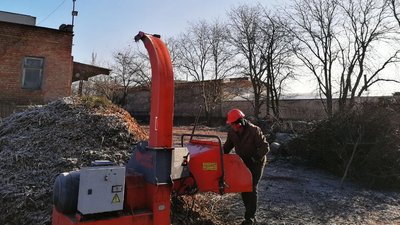 Переробляють ялинки та сосни на щепу Переробляють ялинки та сосни на щепу