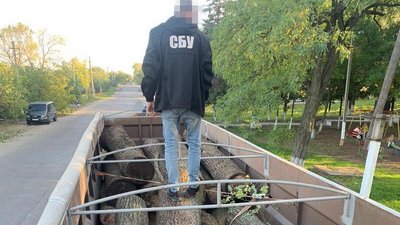 Посадовці лісгоспу на Одещині вимагали хабарі за нелегальний продаж деревини – СБУ Посадовці лісгоспу на Одещині вимагали хабарі за нелегальний продаж деревини – СБУ