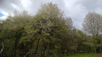 На Хмельниччині хмарно, час від часу, з проясненнями