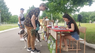 Благодійний забіг із собаками в Рівному. Як це проходить