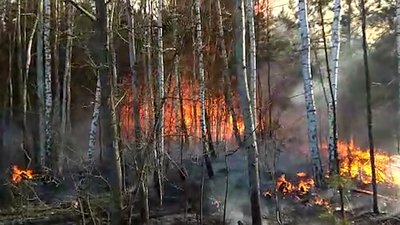 У Бахмуті за місяць вигоріли майже 100 гектарів сухої трави