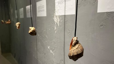 Виставка «Абіс. Життя у темряві»