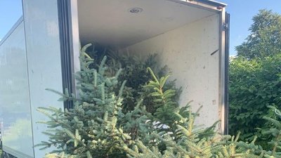 Посадовця лісогосподарства на Тернопільщині затримали на хабарі Посадовця лісогосподарства на Тернопільщині затримали на хабарі
