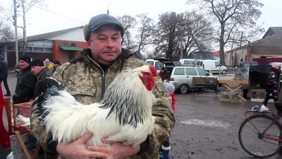 Виставку птахів та домашніх тварин влаштували в Охтирці на Сумщині Виставку птахів та домашніх тварин влаштували в Охтирці на Сумщині