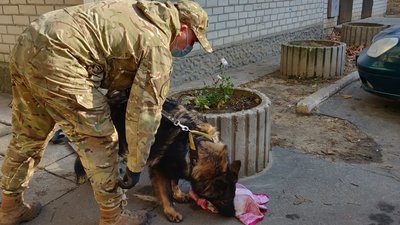 На Запоріжжі у сміттєвому баку знайшли тіло немовляти На Запоріжжі у сміттєвому баку знайшли тіло немовляти