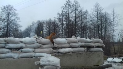 Прикарпатців закликають створювати наряди та прибрати блокпости, непогоджені з поліцією