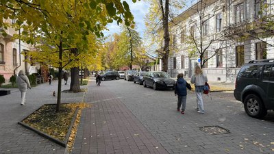 Вулиця Шевченка, парк, дорога