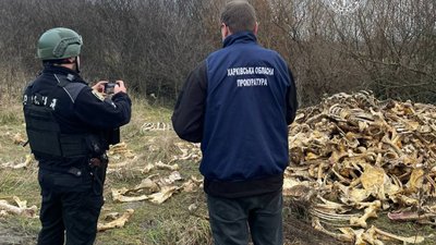 Прокуратура біля звалища тваринних кісток поблизу села Мерло на Харківщині