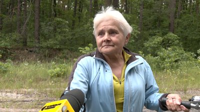 "Багато чорниць попримерзало": як на Волині цього року триває сезон збору лісової ягоди та яка ціна на неї "Багато чорниць попримерзало": як на Волині цього року триває сезон збору лісової ягоди та яка ціна на неї