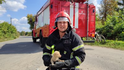 На Черкащині врятували цуценя, яке впало у колодязь
