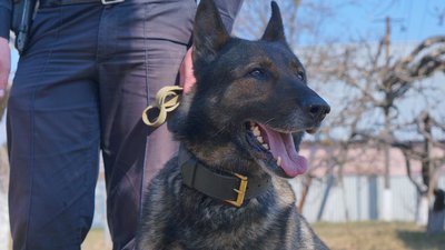 Черкаські школи перевірили на замінування