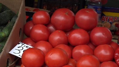 До 35 гривень за кілограм – ціни на помідори на ринках Житомира більші на 30 відсотків від минулорічних До 35 гривень за кілограм – ціни на помідори на ринках Житомира більші на 30 відсотків від минулорічних