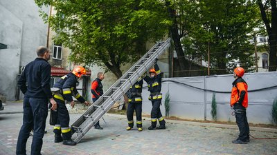 Львівські рятувальники зняли з дерева кота літньої жінки. Фоторепортаж Львівські рятувальники зняли з дерева кота літньої жінки. Фоторепортаж