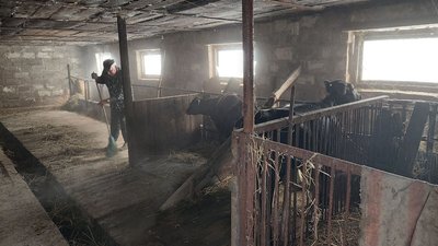 "Згоріло все, що було у хаті", - мешканці села Шевченкове на Охтирщині про втрати після обстрілів росіянами "Згоріло все, що було у хаті", - мешканці села Шевченкове на Охтирщині про втрати після обстрілів росіянами