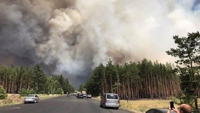 Україна закликає бойовиків до режиму тиші через пожежі на Луганщині