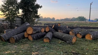 порубка лісу харківщина