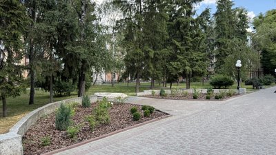 Березовий сквер