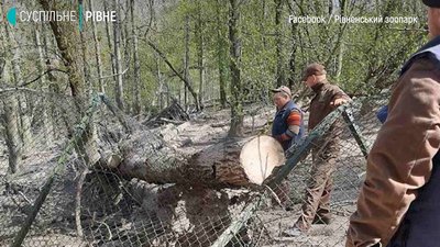 Будинки без світла та пошкоджені вольєри у зоопарку: наслідки негоди на Рівненщині