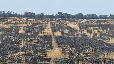 Військові РФ цілеспрямовано знищують врожай на Херсонщині Військові РФ цілеспрямовано знищують врожай на Херсонщині