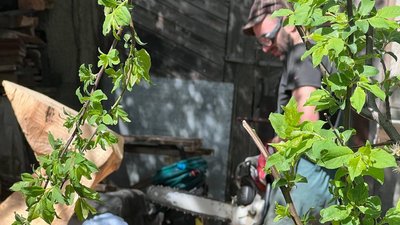 Скульптор Володимир Семків за роботою Скульптор Володимир Семків за роботою