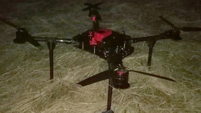 На Волині на кордоні з Польщею та Білоруссю знайшли 2,5 тисячі пачок контрабандних цигарок На Волині на кордоні з Польщею та Білоруссю знайшли 2,5 тисячі пачок контрабандних цигарок