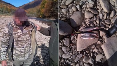 На Закарпатті рибоохоронний патруль виявив порушників нерестової заборони рибальства