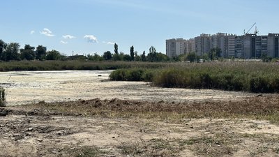Озеро Солене в парку "Ліски"