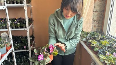 Катерина Ключкович вирощує фіалки в пам'ять про сина, який загинув на війні