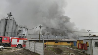 На Прикарпатті триває ліквідація пожежі свинокомплексу На Прикарпатті триває ліквідація пожежі свинокомплексу