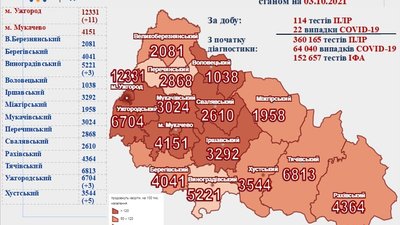 22 нові випадки інфікування COVID-19 підтверили на Закарпатті 22 нові випадки інфікування COVID-19 підтверили на Закарпатті