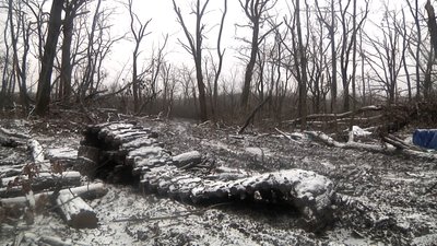 Сліди сучасної війни майже під кожним деревом. Пошуковці показали як виглядає замінований ліс на деокупованій Донеччині Сліди сучасної війни майже під кожним деревом. Пошуковці показали як виглядає замінований ліс на деокупованій Донеччині
