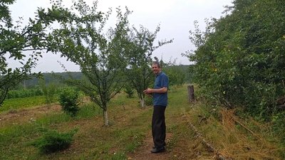 Одноосібники: родина Олішевських з Хмельниччини живуть в лісі та займаються садівництвом