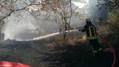 На Херсонщині продовжує горіти сухостій: за добу 9 пожеж