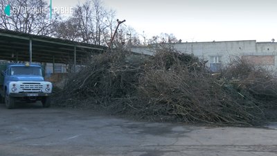 Від ялинки до тріски: у Рівному використані новорічні дерева йдуть на опалення Від ялинки до тріски: у Рівному використані новорічні дерева йдуть на опалення