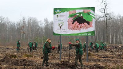 "Створюємо ліси разом": у Білокоровицькому лісгоспі на Житомирщині висадили понад два гектари лісу