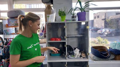 "Куди привезти кота": черкаська волонтерка пояснила, як і навіщо допомагати зоозахисникам "Куди привезти кота": черкаська волонтерка пояснила, як і навіщо допомагати зоозахисникам