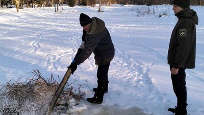 Риба в Центральному парку Луцька