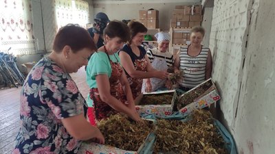 Трав'яні чаї для бійців Трав'яні чаї для бійців